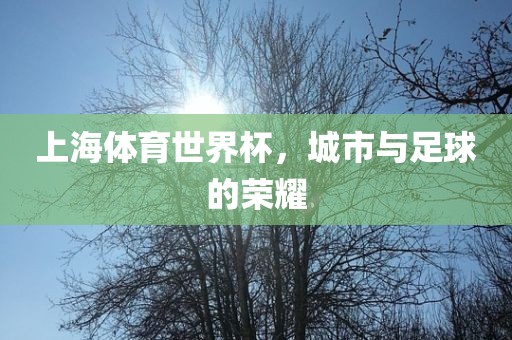 上海体育世界杯，城市与足球丹东日丰电子有限公司的荣耀