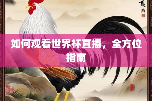 如何观看世界杯直播，全方位指南
