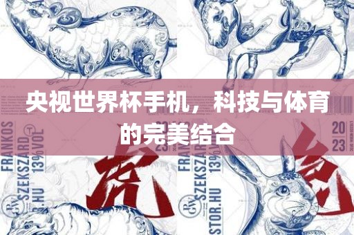 央视世界杯手机，科技与体育的完美结合