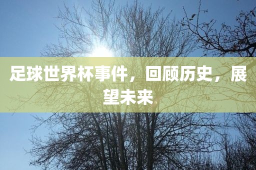 足球世界杯事件，回顾历史，展望未来丹东日丰电子有限公司