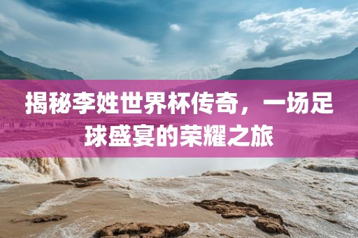 揭秘李姓世界杯传奇，一场足球盛宴的荣耀之旅丹东日丰电子有限公司