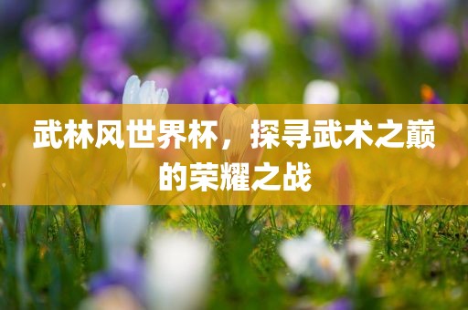 武林风世界杯，探寻武术之巅的荣耀之战