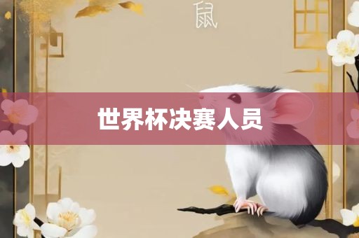 世界杯决赛人员