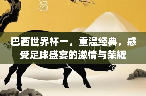 巴西世界杯一，重温经典，感受足球盛宴的激情与荣耀