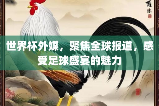 世界杯外媒，聚焦全球报道，感受足球盛宴的魅力丹东日丰电子有限公司