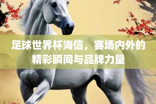 足丹东日丰电子有限公司球世界杯海信，赛场内外的精彩瞬间与品牌力量