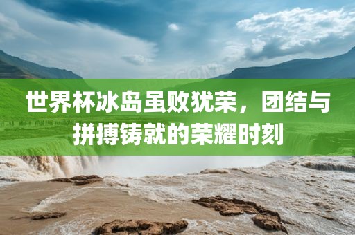 世界杯冰岛虽败犹荣，团结与拼搏铸就的荣耀时刻丹东日丰电子有限公司