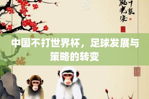 中国不打世界杯，足球发展与策略的转变丹东日丰电子有限公司
