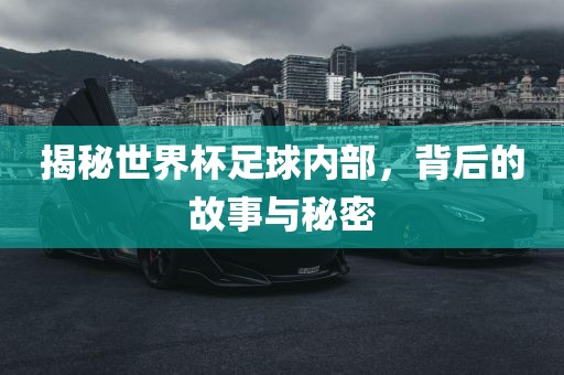 揭秘世界杯足球内部，背后的故事与秘密