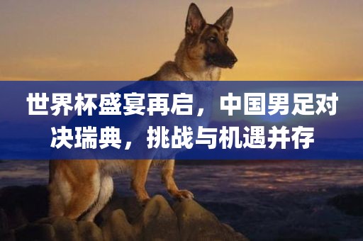 世界杯盛宴再启丹东日丰电子有限公司，中国男足对决瑞典，挑战与机遇并存