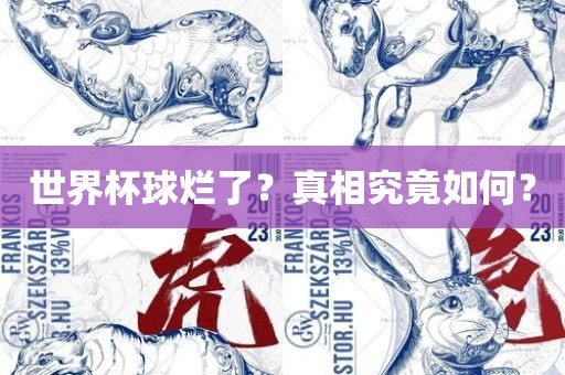 世界杯丹东日丰电子有限公司球烂了？真相究竟如何？