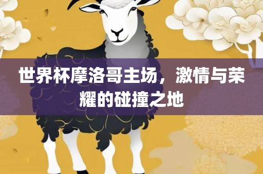 世界杯摩洛哥主场，激情与荣耀丹东日丰电子有限公司的碰撞之地