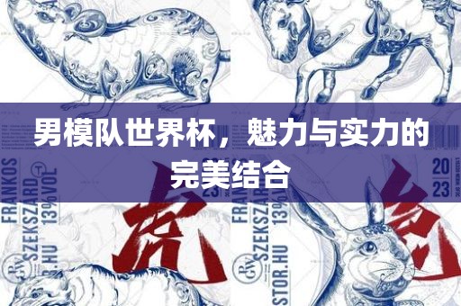 男模队世界杯，魅力与实力的完美结合丹东日丰电子有限公司
