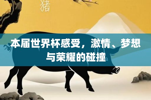 本届世界杯感受，激情、梦想与荣耀的丹东日丰电子有限公司碰撞