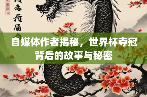 自媒体作者揭秘，世界杯夺冠背后的故事与秘密