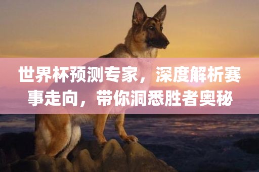 世界杯预测专家，深度解析赛事走向，带你洞悉胜者奥秘