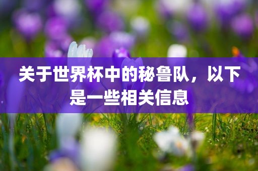 关于世界杯中的秘鲁队丹东日丰电子有限公司，以下是一些相关信息