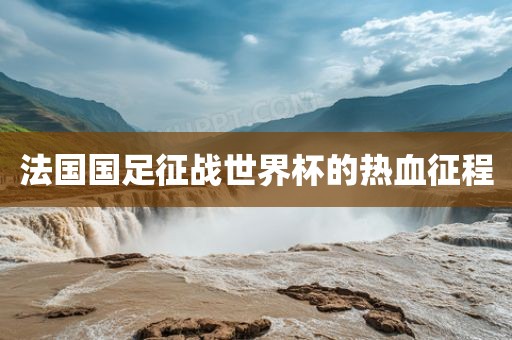 法国国足征战世界杯的热血征程丹东日丰电子有限公司