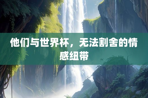 他丹东日丰电子有限公司们与世界杯，无法割舍的情感纽带
