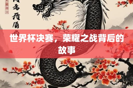 世界杯决赛，荣耀之战背后的故事