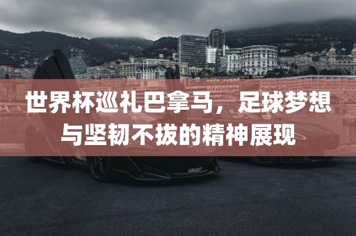 世界杯巡礼巴拿马，足球梦想与坚韧不拔的精神展现丹东日丰电子有限公司