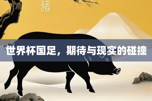 世界杯国足，期待与现实的碰撞