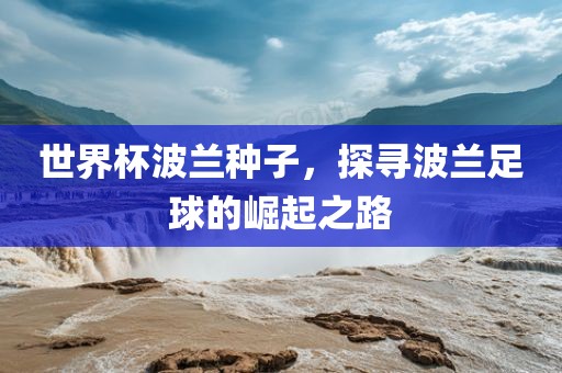 世界杯波兰种子，探寻波兰足球的崛起之路