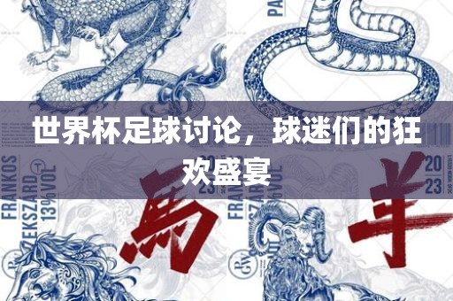 世界杯足球讨论，球迷们的狂欢盛宴