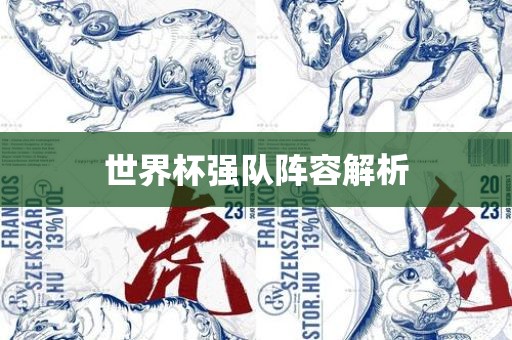 世界杯强队阵容解析