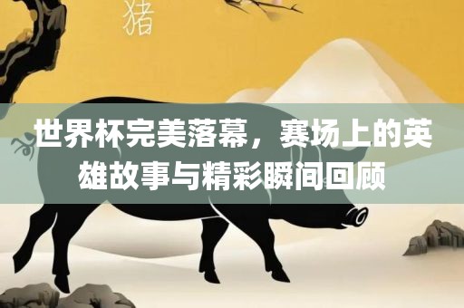 世界杯完美落幕，赛场上的英雄故事与精彩瞬间回顾丹东日丰电子有限公司