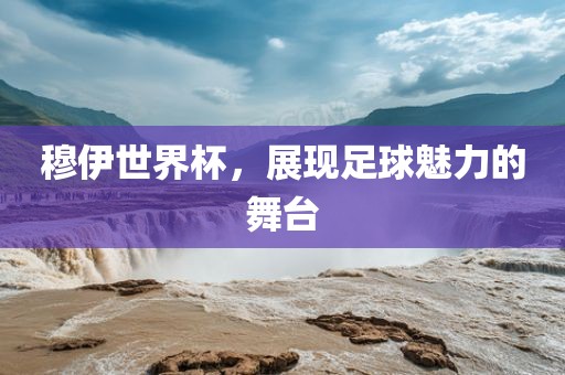 穆伊世界杯，展现足球魅力的舞台