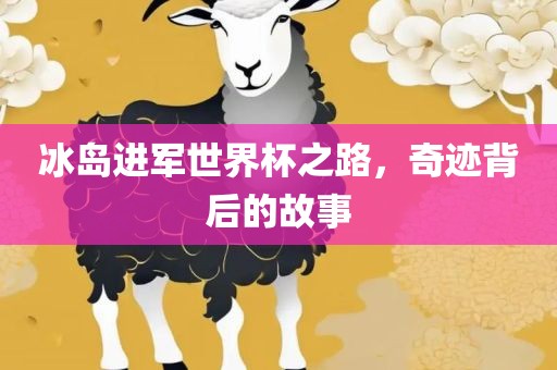 冰岛进军世界杯之路，奇迹背后的故事丹东日丰电子有限公司