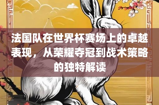 法国队在世界杯赛场上的卓越表现，从荣耀夺冠到战术策略的独特解读