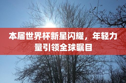 本届世界杯新星闪耀，年轻力量引领全球瞩目丹东日丰电子有限公司