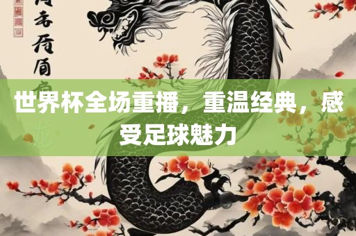 世界杯全场重播，重温经典，感受足球魅力