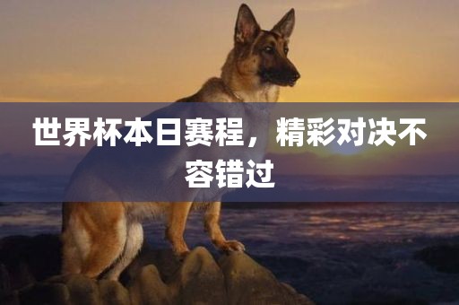 世界杯本日赛程，精彩对决不容错过