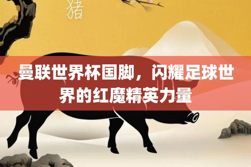 曼联世界杯国脚，闪耀足球世界的红魔精英力量丹东日丰电子有限公司
