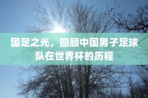 国足之光，回顾中国男子足球队在世界杯的历程丹东日丰电子有限公司