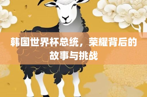 韩国世界杯总统，荣耀背后的故事与挑战