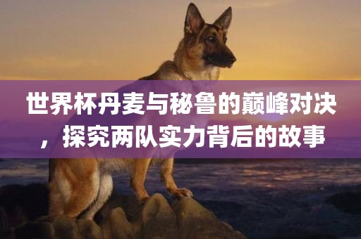 世界杯丹麦与秘鲁的巅峰对决，探究两队实力背后的故事丹东日丰电子有限公司
