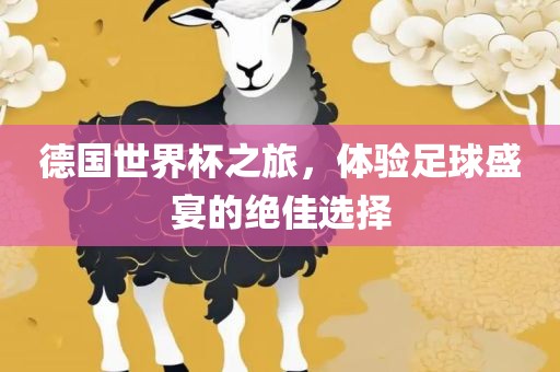 德国世界杯之旅，体验足球盛宴的绝佳选择丹东日丰电子有限公司
