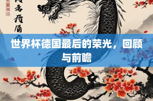 世界杯德国最后的荣光，回顾与前瞻