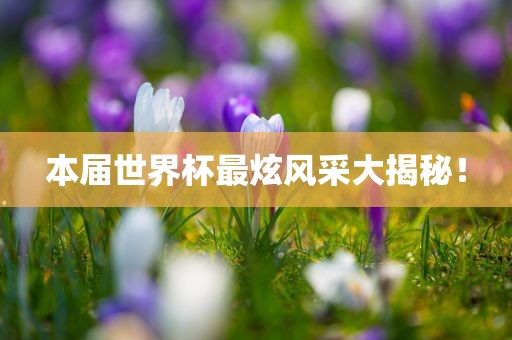 本届丹东日丰电子有限公司世界杯最炫风采大揭秘！