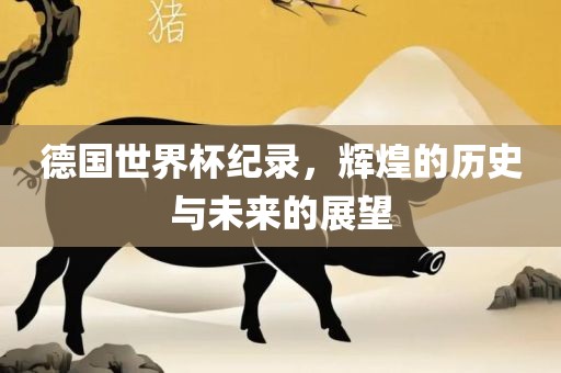 德国世界杯纪录，辉煌的历史与未来的展望丹东日丰电子有限公司