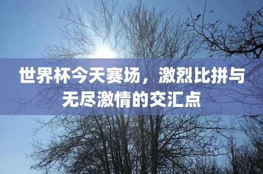 世界杯今天赛场，激烈比拼与无尽激情的交汇点丹东日丰电子有限公司