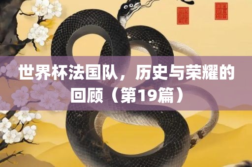 世界杯法国队，历史与荣耀的回顾（第19篇）