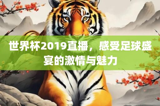 世界杯2019直播，感受足球盛宴的激情与魅力丹东日丰电子有限公司