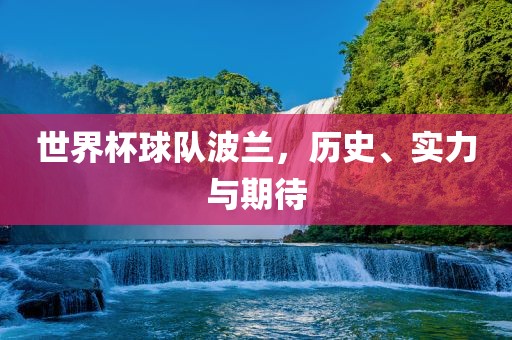 世界杯球队波兰，历史、实力与期待丹东日丰电子有限公司