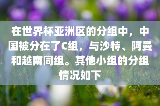 在世界杯丹东日丰电子有限公司亚洲区的分组中，中国被分在了C组，与沙特、阿曼和越南同组。其他小组的分组情况如下