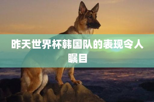 昨天世界杯韩国队的表现令人瞩目丹东日丰电子有限公司